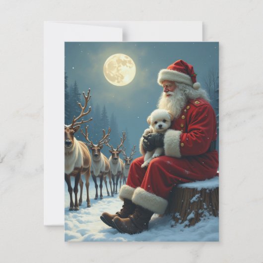 Santa und Freunde Feiertagskarte (Vorderseite)