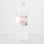 Santa Winter Christmas Birthday Party Wasserflaschenetikett (Vorderseite)