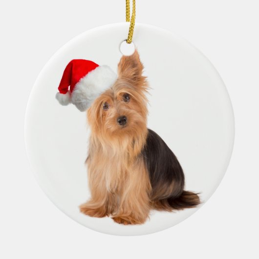 Santa Yorkie Ornament (Vorne)