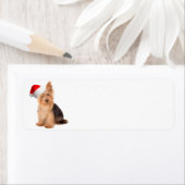 Santa Yorkie Rücksendeadresse (Insitu)