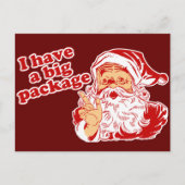 Santas Big Package Feiertagspostkarte (Vorderseite)