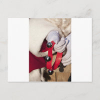 Santas Hands