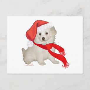 Santa's Helfer Welpe Poodle / Bichon Mix Feiertagspostkarte