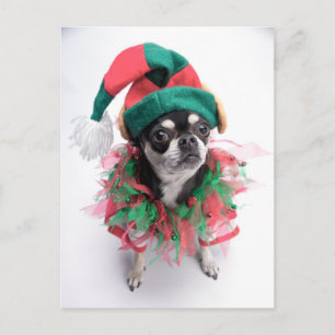 Santa's Little Helper Elf Dog Feiertagspostkarte