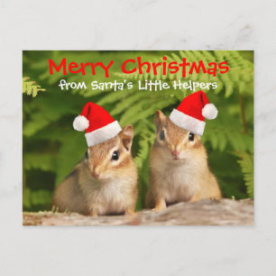 Santa's Little Helpers Baby Chipmunks Feiertagspostkarte