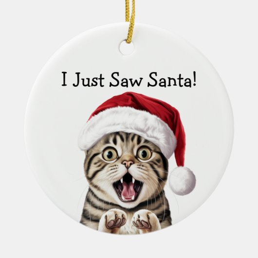 Santa's Little Kitten Helper Cat Ornament (Vorne)