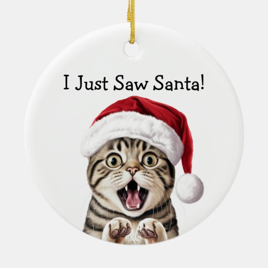 Santa's Little Kitten Helper Cat Ornament (Hinten)