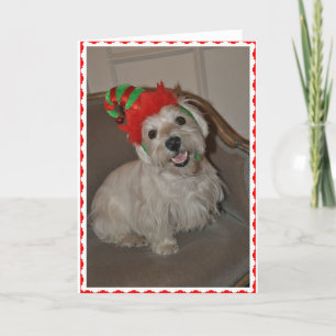 Santa's Little Westie Elf Feiertagskarte