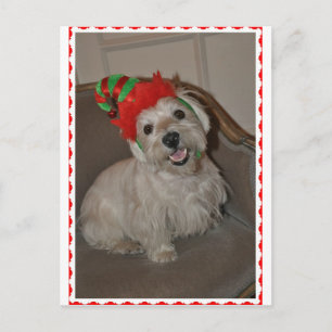 Santa's Little Westie Elf Feiertagspostkarte