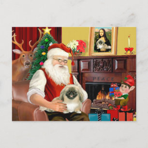 Santas Pekingese Feiertagspostkarte