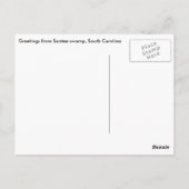 Santee-Sumpf, SC Nautic Chart Postcard Postkarte (Rückseite)