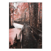 Santee-Sumpflandschaft (Vorne)