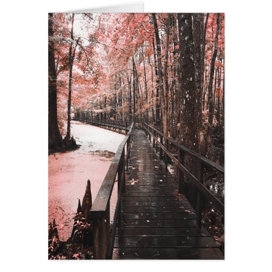 Santee-Sumpflandschaft (Vorne)