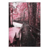 Santee-Sumpflandschaft (Vorne)