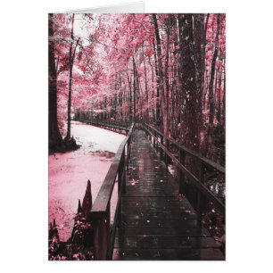 Santee-Sumpflandschaft