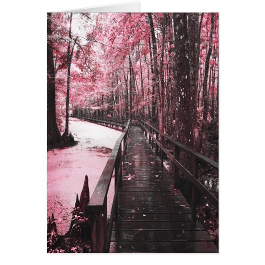 Santee-Sumpflandschaft (Vorne)