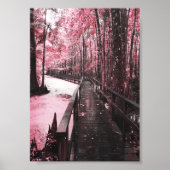 Santee-Sumpflandschaft Poster (Vorne)