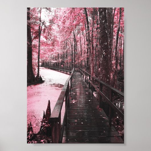 Santee-Sumpflandschaft Poster (Vorne)