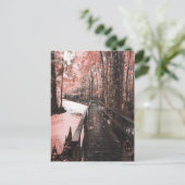 Santee-Sumpflandschaft Postkarte (Stehend Vorderseite)