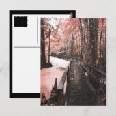 Santee-Sumpflandschaft Postkarte (Vorne/Hinten)