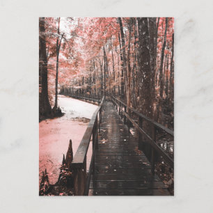 Santee-Sumpflandschaft Postkarte