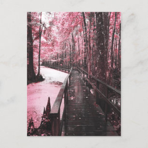 Santee-Sumpflandschaft Postkarte