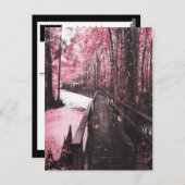 Santee-Sumpflandschaft Postkarte (Vorne/Hinten)