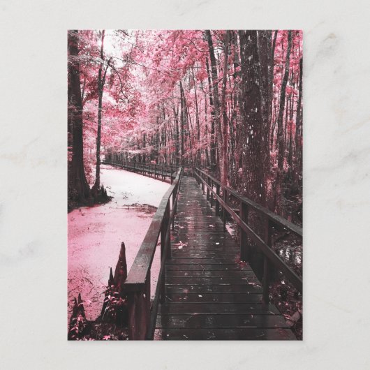 Santee-Sumpflandschaft Postkarte (Vorderseite)