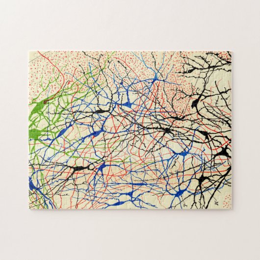Santiago Ramón Y Cajal Nerve Cells Puzzle (Horizontal)