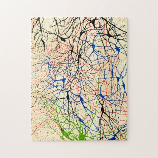 Santiago Ramón Y Cajal Nerve Cells Puzzle (Vertikal)