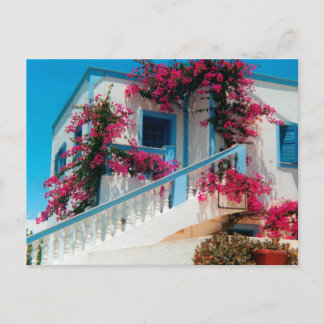 Santorini Blumenpracht Postkarte