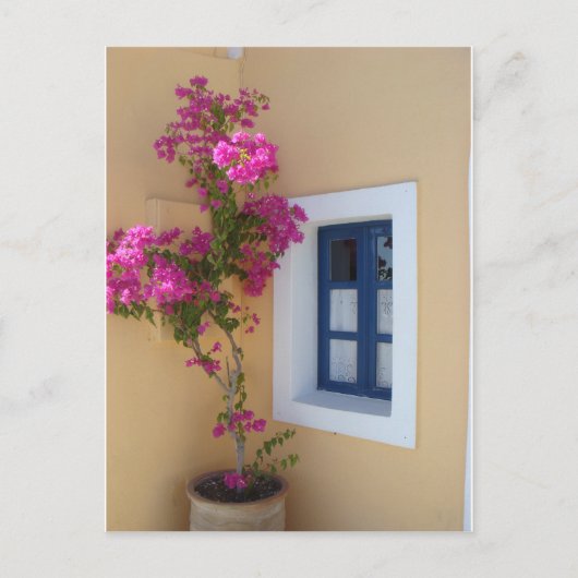 Santorini-Fenster Postkarte (Vorderseite)