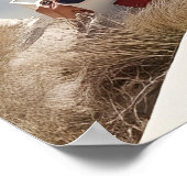 Santorini Griechenland Poster (Ecke)