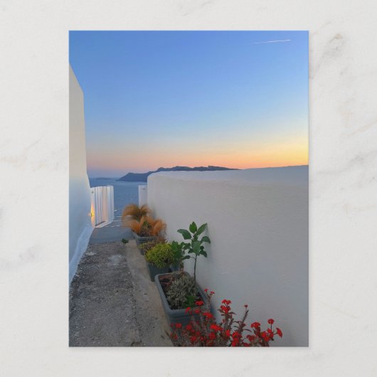 Santorini Griechenland Street Pflanze Sunset Postkarte (Vorderseite)