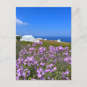 Santorini Griechenland Weißes Gebäude Lila Blume Postkarte