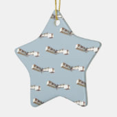 Santos-Dumont 14-Bis-Flugzeug Keramikornament (Links)