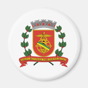 Santos Saopaulo Brasil, Flagge Brasiliens Magnet