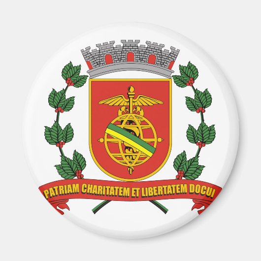 Santos SaoPaulo, Brasilien Magnet (Vorne)
