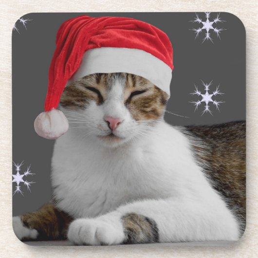 Sants Cat Weihnachts-Untersetzer Getränkeuntersetzer (Vorderseite)