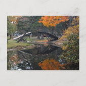 SANY4603 Fall Foliage Postkarte (Vorderseite)