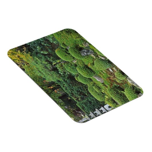 Sanzen-in-Tempel, Ohara, Kyoto, Japan 3 Magnet (Rechte Seite)