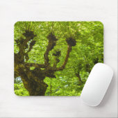 São Miguel Insel Mousepad (Mit Mouse)