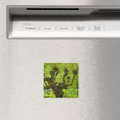 Sao Miguel Island Magnet (In Situ (Geschirrspüler))