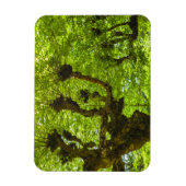 Sao Miguel Island Magnet (Vertikal)