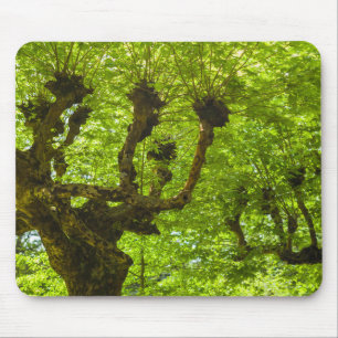 Sao Miguel Island Mousepad