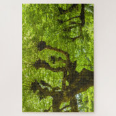 Sao Miguel Island Puzzle (Vertikal)