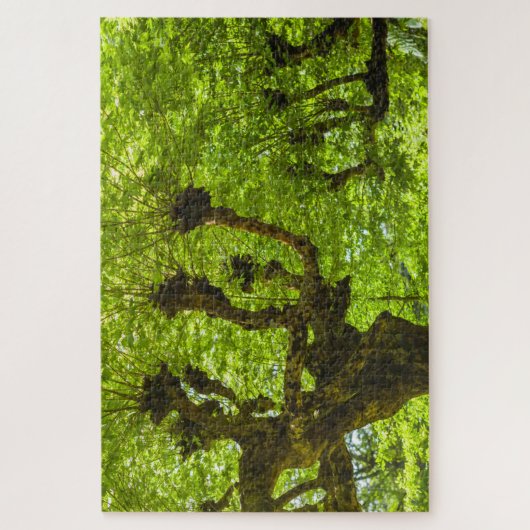 Sao Miguel Island Puzzle (Vertikal)