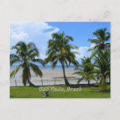 Sao Paulo, brasilianische Palmen Postkarte (Vorderseite)