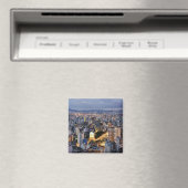 Sao Paulo Cityscape 2 Magnet (In Situ (Geschirrspüler))