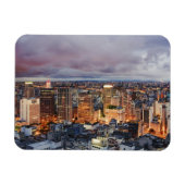 Sao Paulo Cityscape Magnet (Horizontal)
